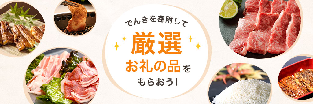 でんきを寄附して「厳選」お礼の品をもらおう！